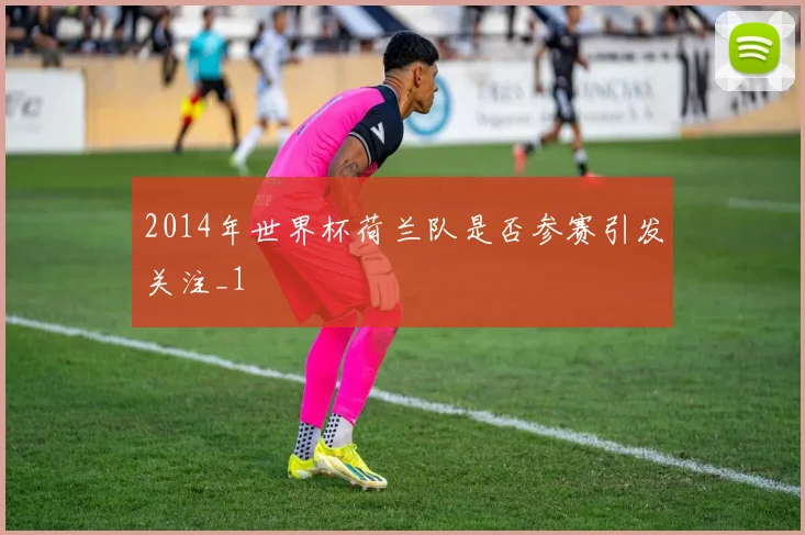 2014年世界杯荷兰队是否参赛引发关注_1