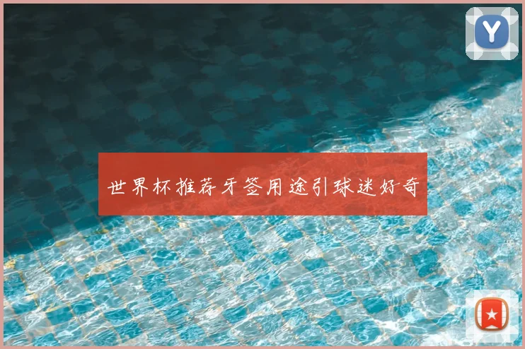 世界杯推荐牙签用途引球迷好奇