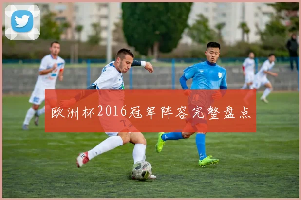 欧洲杯2016冠军阵容完整盘点