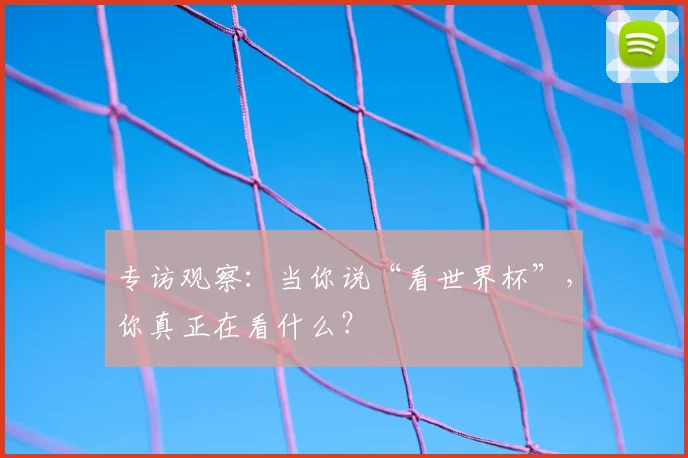 专访观察：当你说“看世界杯”，你真正在看什么？