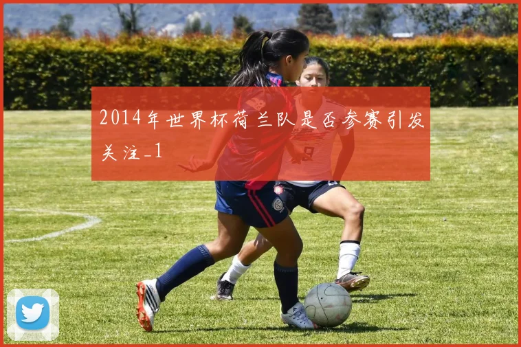 2014年世界杯荷兰队是否参赛引发关注_1