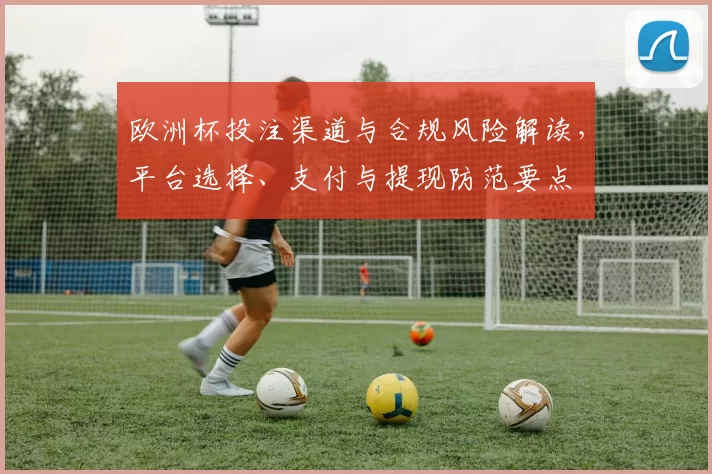 欧洲杯投注渠道与合规风险解读，平台选择、支付与提现防范要点