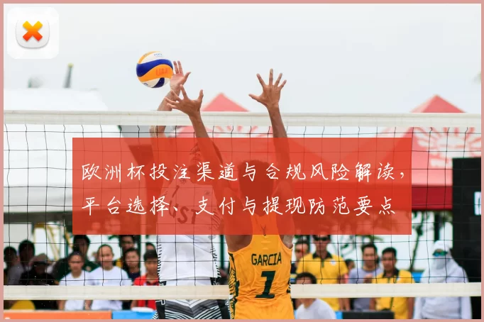 欧洲杯投注渠道与合规风险解读，平台选择、支付与提现防范要点