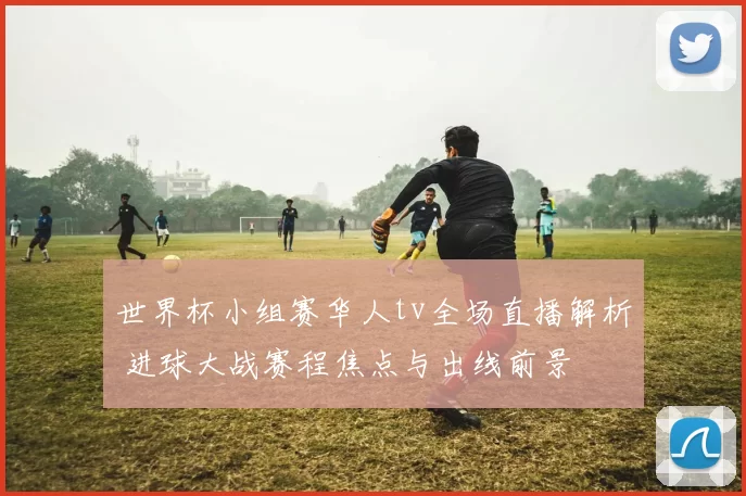 世界杯小组赛华人tv全场直播解析 进球大战赛程焦点与出线前景